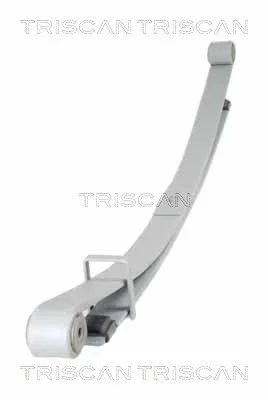 Paket pružin TRISCAN 876510011