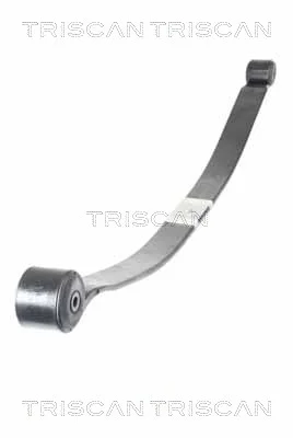 Paket pružin TRISCAN 876516049