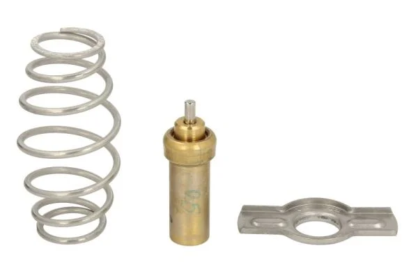 Termostat, chladivo THERMOTEC D2IV008TT – OE 5801812878