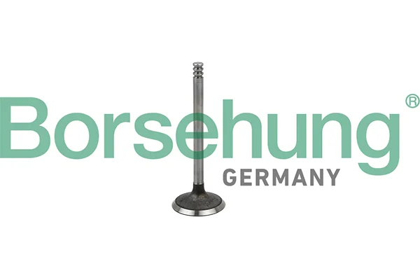 Sací ventil Borsehung B19029 – OE 038109601B