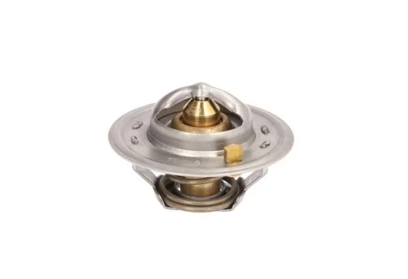 Termostat, chladivo THERMOTEC D2CA008TT