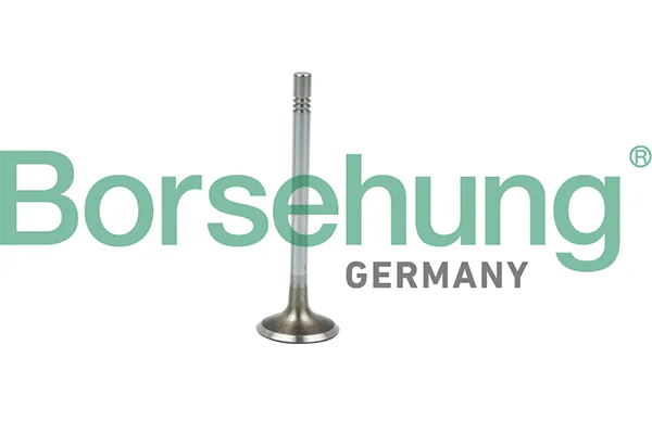 Sací ventil Borsehung B19021 Sací ventil Borsehung B19021